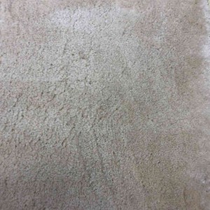 Plain carpet jasmine 1126 cream