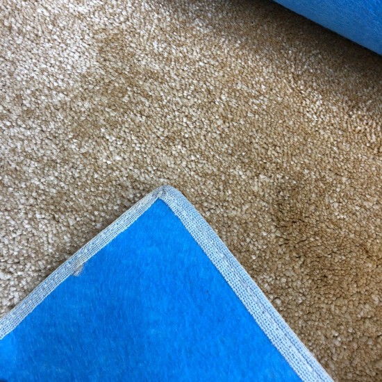 Carpet 40 beige plain