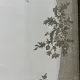 سجاد اناقة تركي SRC25A كريم مقاس 80*150