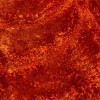 3D Shaggy silk, hand-carved and circular red