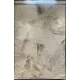سجاد تركي برل 42816A كريم تيرا مقاس 50*80