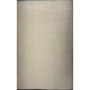 سجاد سادة ذا لاين تركي ODP67B كريم ايفوري مقاس 300*400