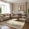 RINAS Turkish Carpet 41152A Light gray Size 150*220