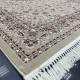 Türkiye Al Baha Classic Thick Soft Carpet 3403D beige Size 300*500