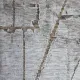Turkish Bohemian Rug 2309A brown Beige Size 250*350