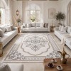 Turkish VELOURA Rug A451A Sky GRAY Size 50*80