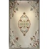 سجاد ايريس تركي N0597A تيرا مقاس 200*300