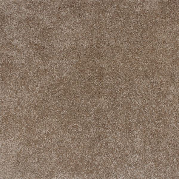 Plain Dior carpet color 307 thick