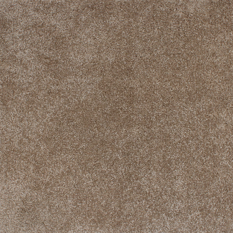 Plain Dior carpet color 307 thick