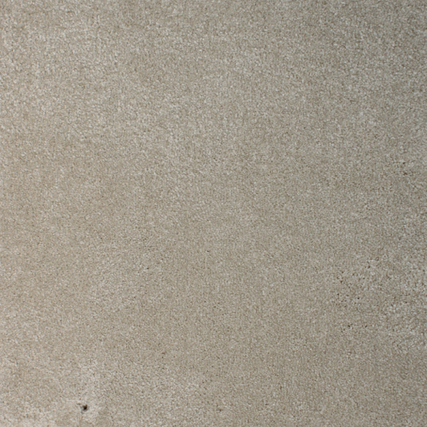 Plain Dior carpet color 301 thick