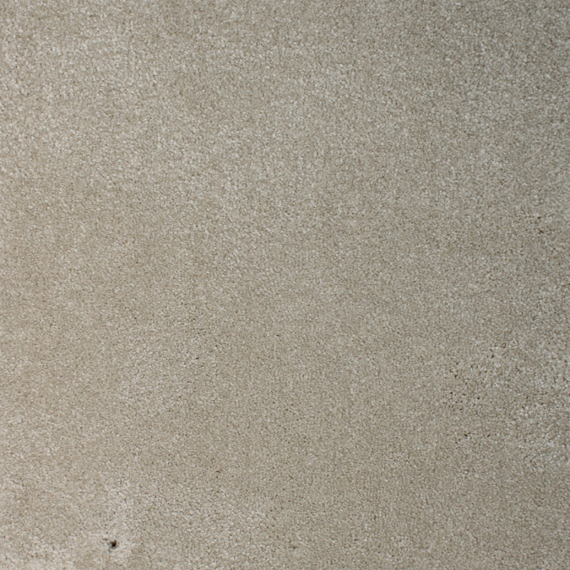 Plain Dior carpet color 301 thick