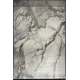 Turkish Opera Carpet HD33A White dark vizon Size 300*400
