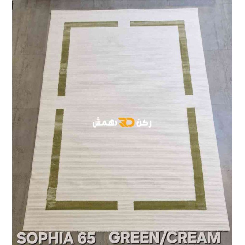 Turkish rug framed Sofia 65 cream and green size 100*200