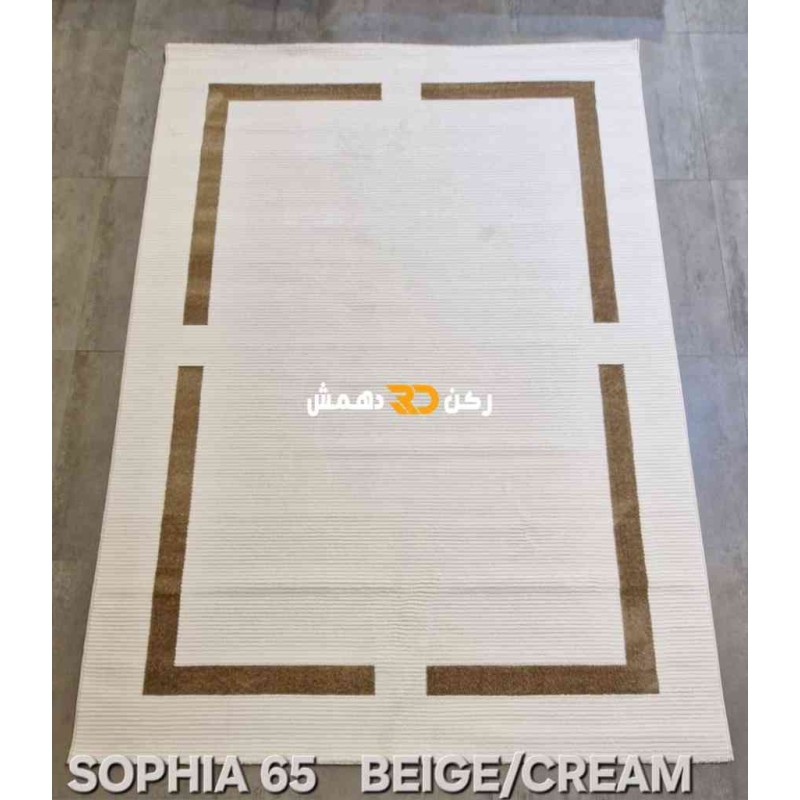 Turkish rug framed Sofia 65 cream and Dark beige size 250*350
