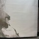 سجاد الفن تركي D0651A اخضر مقاس 300*400